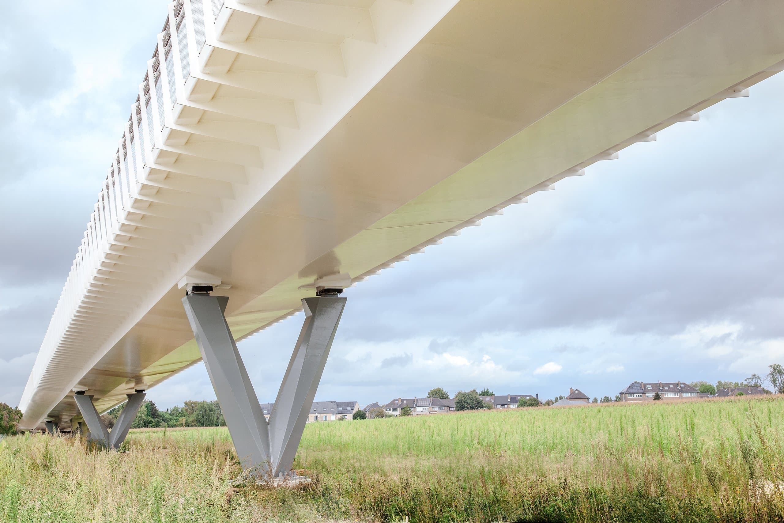 De onderzijde van het brugdek op V-vormige kolommen, gezien vanuit het gras