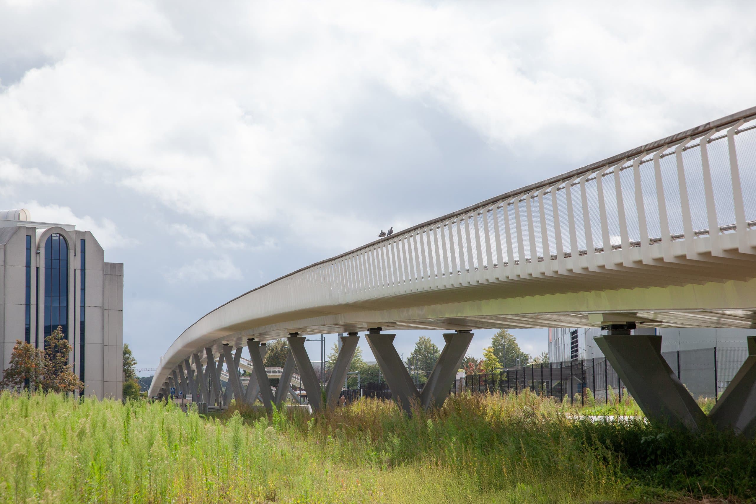 Zijaanzicht van de gerealiseerde witte vakwerkbrug in het grasland